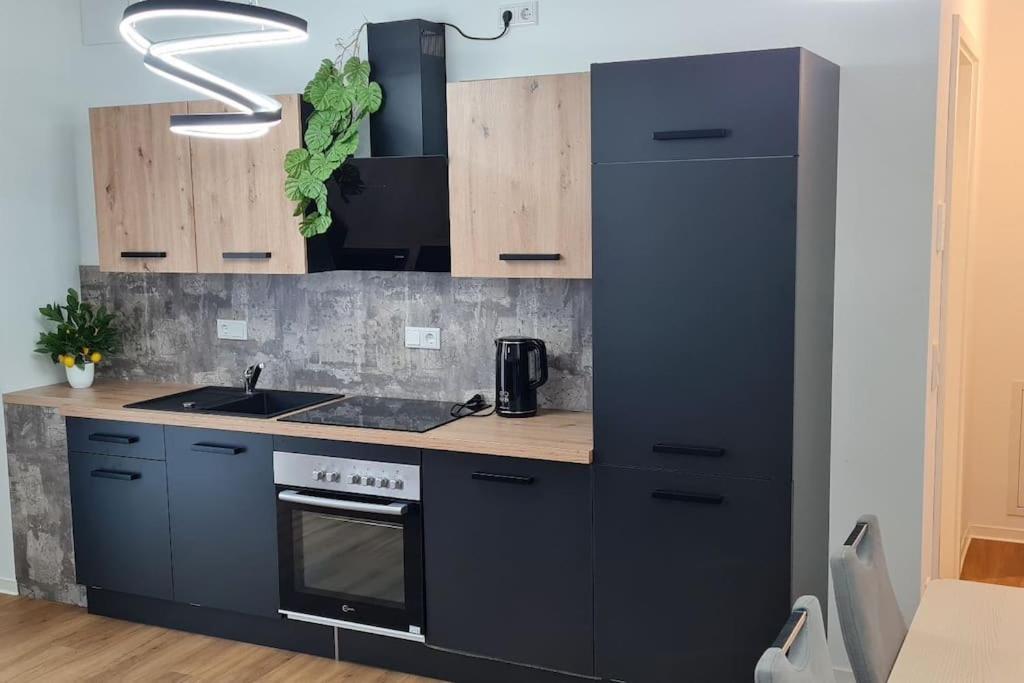 Luxus Im Stadtzentrum Apartment Nuremberg
